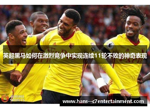 英超黑马如何在激烈竞争中实现连续11轮不败的神奇表现 英超黑马如何在激烈竞争中实现连续11轮不败的神奇表现