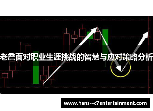 老詹面对职业生涯挑战的智慧与应对策略分析 老詹面对职业生涯挑战的智慧与应对策略分析