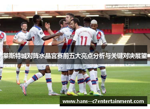 莱斯特城对阵水晶宫赛前五大亮点分析与关键对决展望 莱斯特城对阵水晶宫赛前五大亮点分析与关键对决展望
