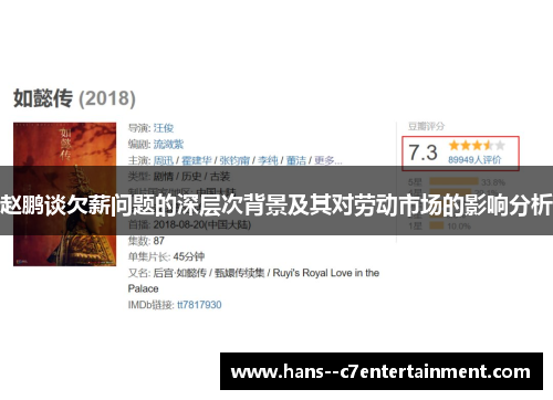 赵鹏谈欠薪问题的深层次背景及其对劳动市场的影响分析