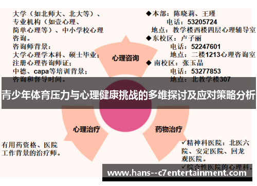 青少年体育压力与心理健康挑战的多维探讨及应对策略分析