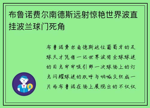 布鲁诺费尔南德斯远射惊艳世界波直挂波兰球门死角